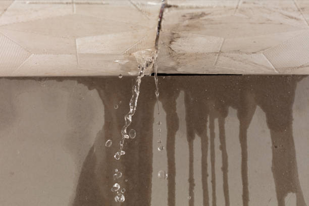 Professional Water Damage Repair technician working in Silver Creek, NY